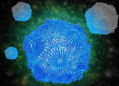 微生物學學院電泳凝膠成像分體系統