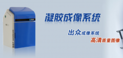 進口凝膠成像系統品牌 進口凝膠成像系統價格